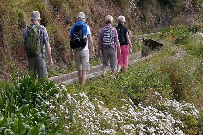 levada-do-norte-quinta-grande-levada-walk