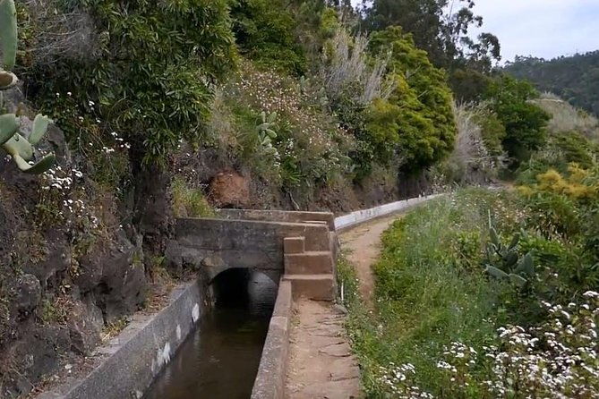 levada-do-norte-quinta-grande-levada-walk