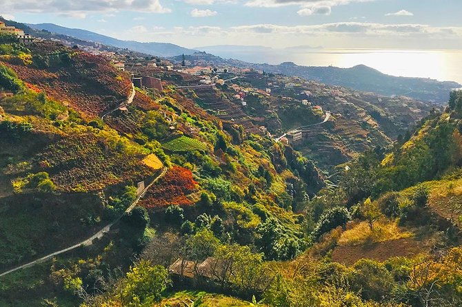 levada-do-norte-walking-tour