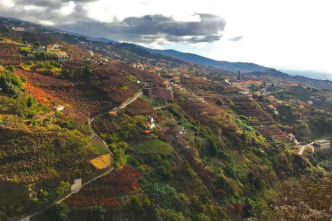 levada-do-norte-walking-tour