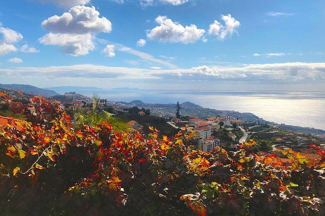 levada-do-norte-walking-tour