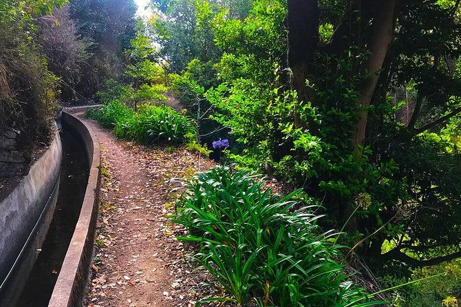 levada-do-norte-walking-tour