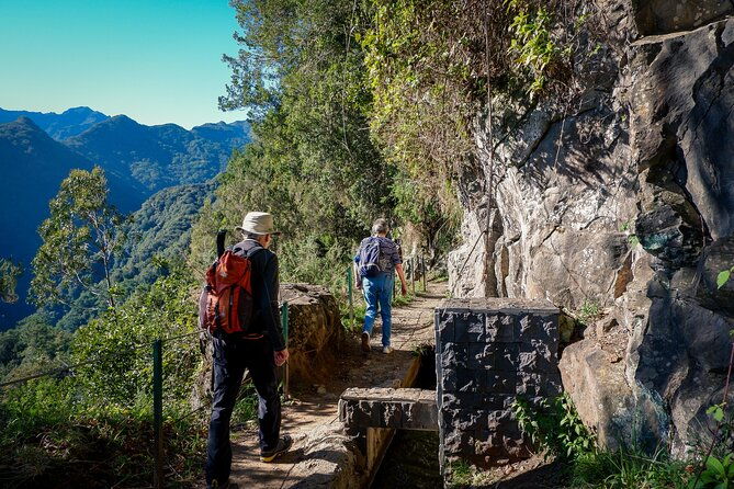 levada-do-rei-pr18-through-madeiras-majestic-laurissilva