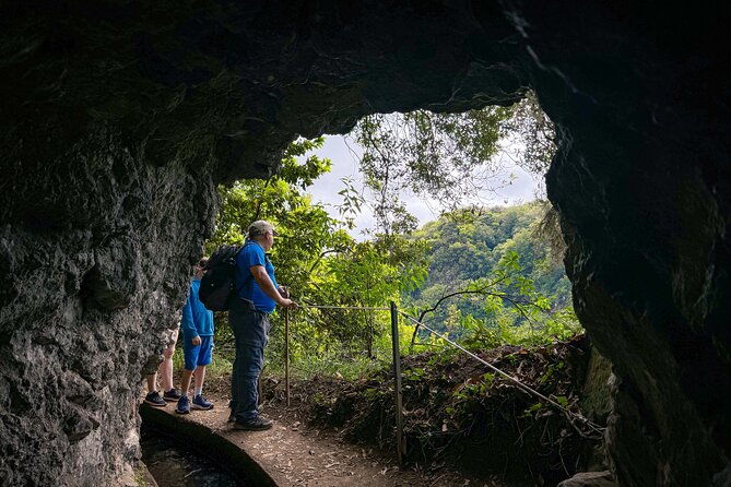 levada-do-rei-pr18-through-madeiras-majestic-laurissilva