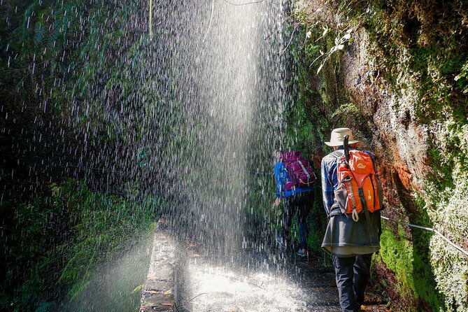 levada-do-rei-pr18-through-madeiras-majestic-laurissilva