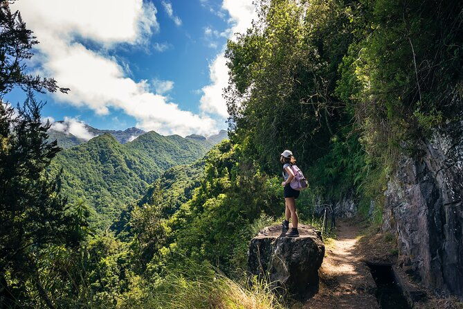 levada-do-rei-pr18-through-madeiras-majestic-laurissilva