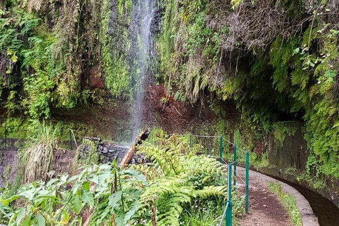 levada-do-rei-ribeiro-bonito-full-day-walk