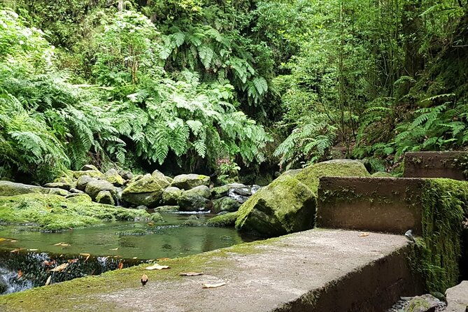 levada-do-rei-ribeiro-bonito-full-day-walk