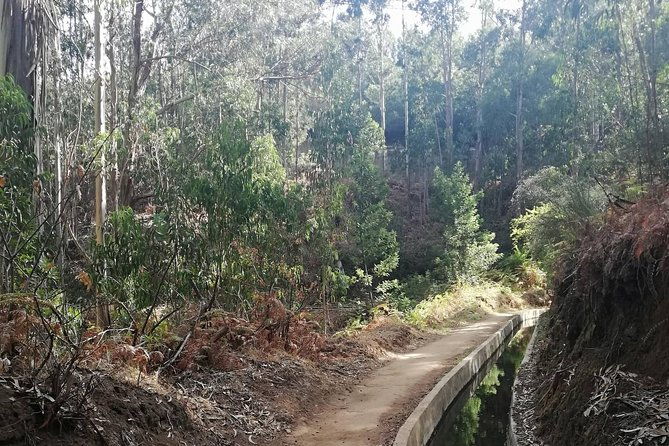 levada-serra-dagua