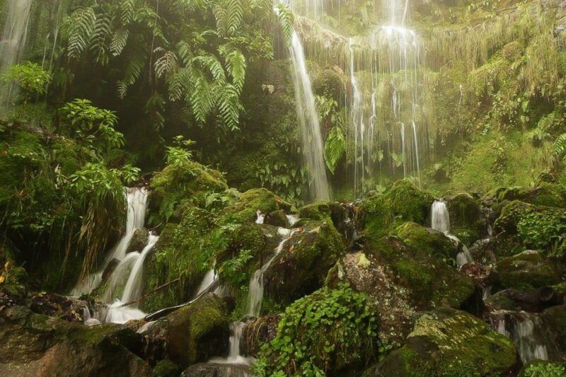 levada-walk-and-caldeirao-verde-waterfalls-madeira