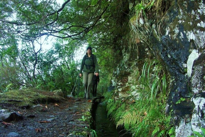 levada-walk-and-caldeirao-verde-waterfalls-madeira