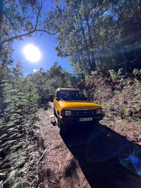 levada-walk-east-santana-full-day-jeep-tour-pico-do-arieiro