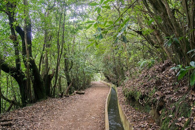 levada-walk-from-ribeiro-frio-to-portela