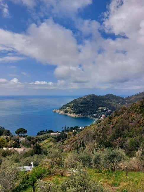 Levanto: Hiking Tour with Creative Workshop! - The Experience: Details and Practicalities