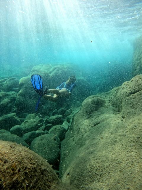 Levanto: Kayak & Snorkeling Tour with Marine Ecologist! - Authentic Feedback from Participants