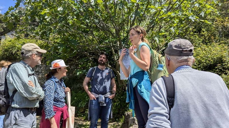 Levanto to Bonassola Hiking Tour: Nature & Wonderful Views - An In-Depth Look at the Experience