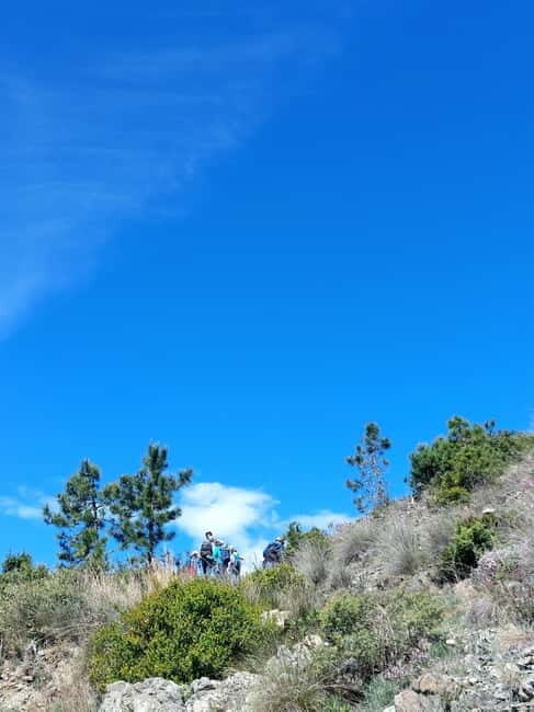 Levanto to Bonassola Hiking Tour: Nature & Wonderful Views - Who Would Love This Tour?