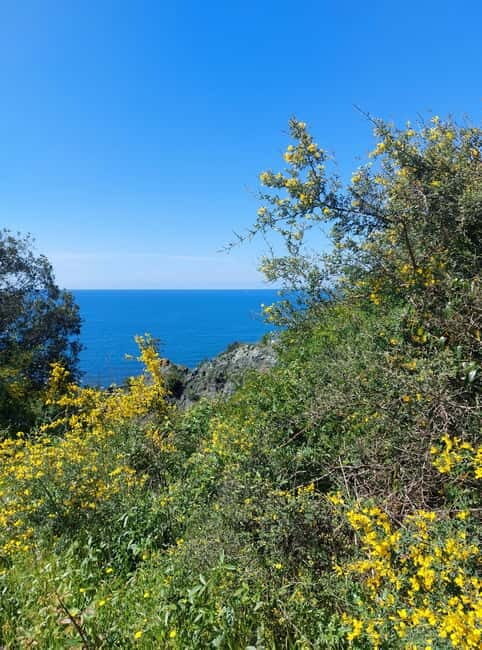 Levanto to Bonassola Hiking Tour: Nature & Wonderful Views - FAQs