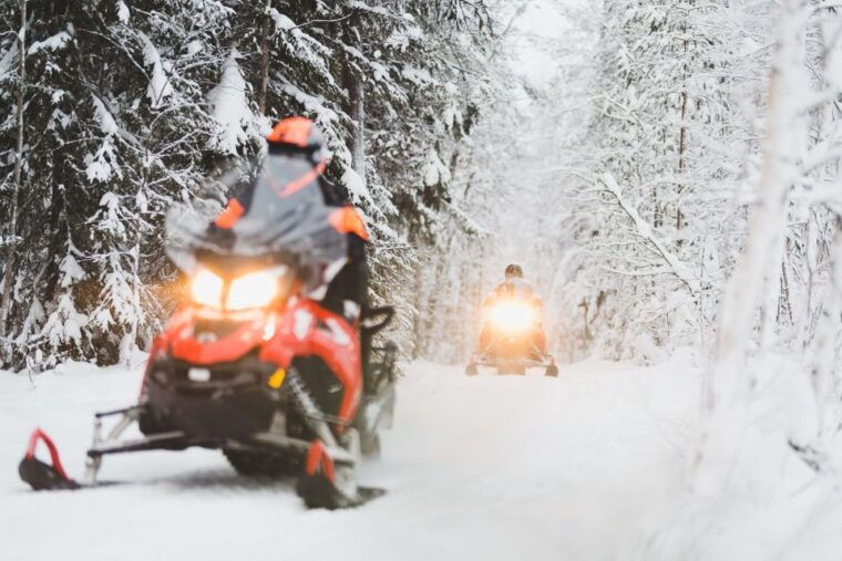 levi-2-hours-snowmobile-safari-to-the-levi-nature