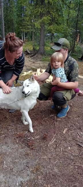 Levi: 2 KM Husky Summer Sledding with wheels - Levi: 2 KM Husky Summer Sledding with Wheels – An Authentic Lapland Adventure