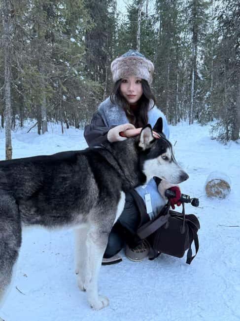 Levi: 2 km Thrilling Husky Sled Ride - What’s Included & What to Bring