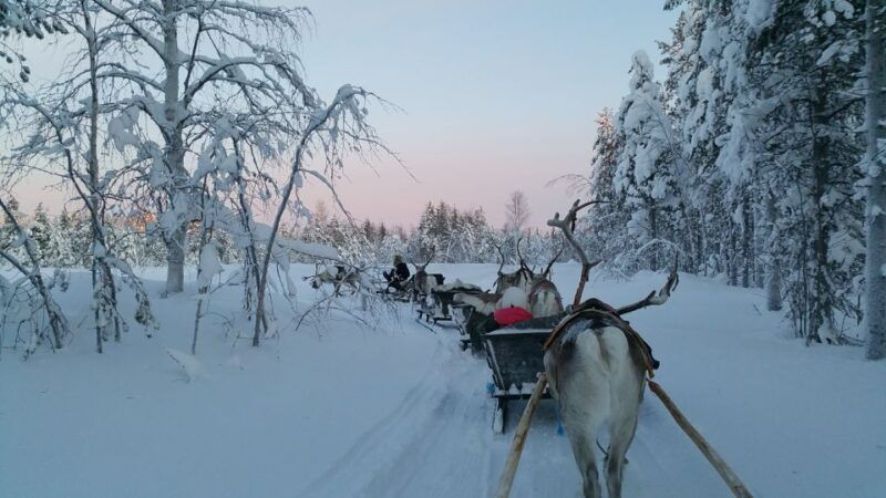 levi-3km-reindeer-sleigh-ride