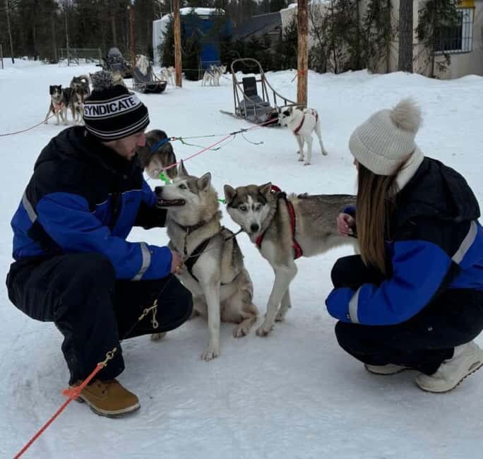 Levi: 5 Km Husky Sledding Ride in Levi - Final Thoughts: Who Will Love This Experience?