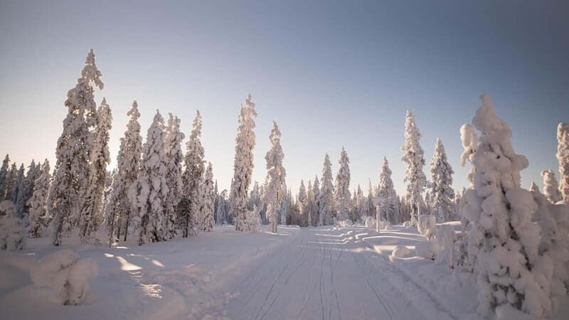 Levi: 6 Hour Authentic Snowmobile Safari to Lappish Villages - Final Thoughts