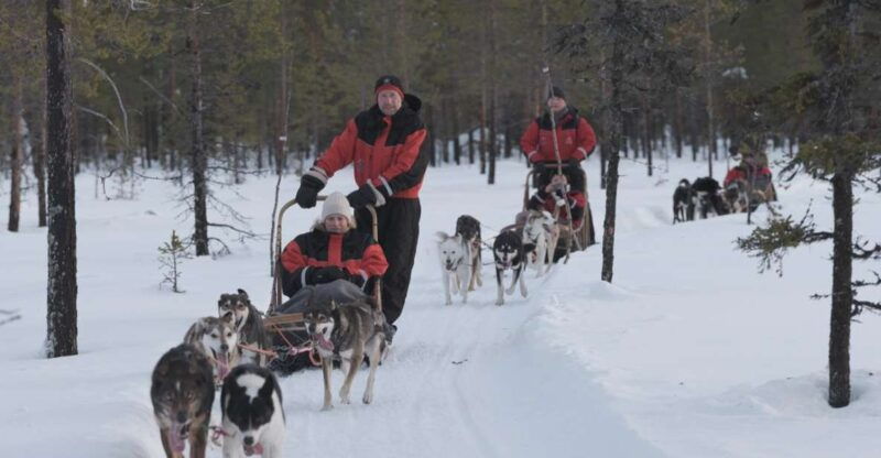levi-evening-husky-sled-ride-under-the-northern-lights