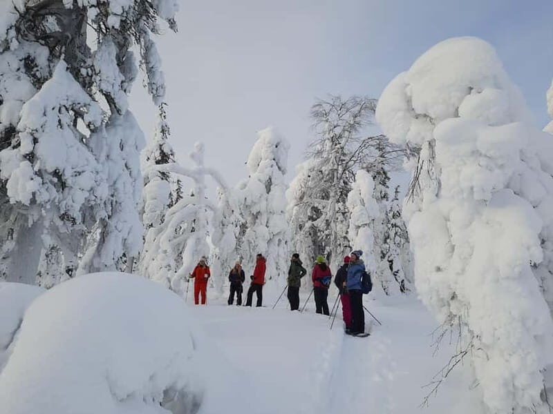 Levi: Evening Snowshoe Walk Under Northern Sky - Authenticity & Local Insights