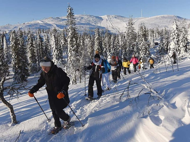 Levi: Evening Snowshoe Walk Under Northern Sky - Final Thoughts