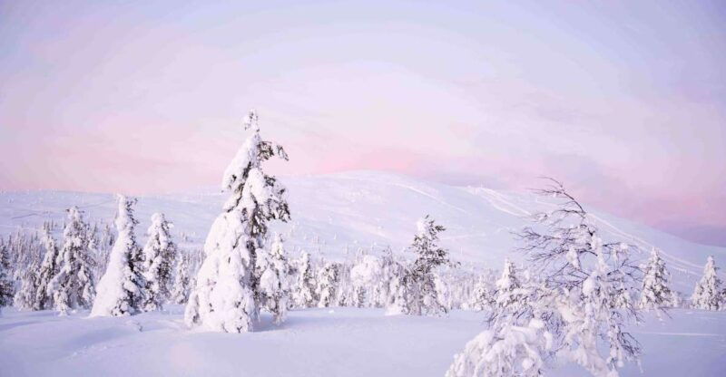 levi-explore-the-wilderness