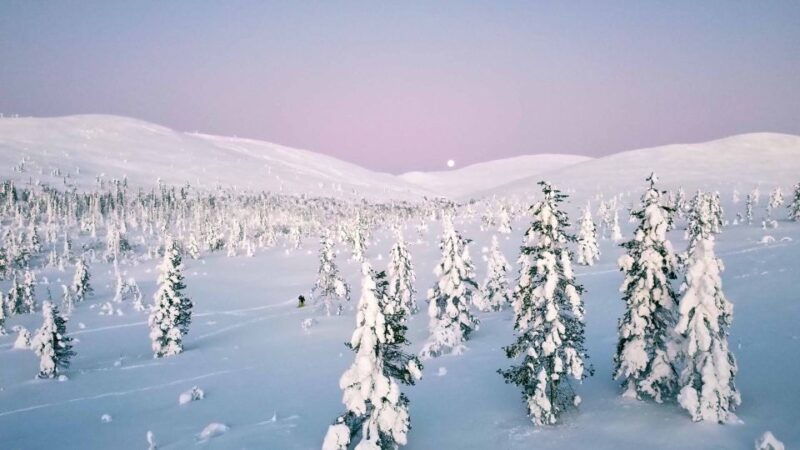 levi-explore-the-wilderness