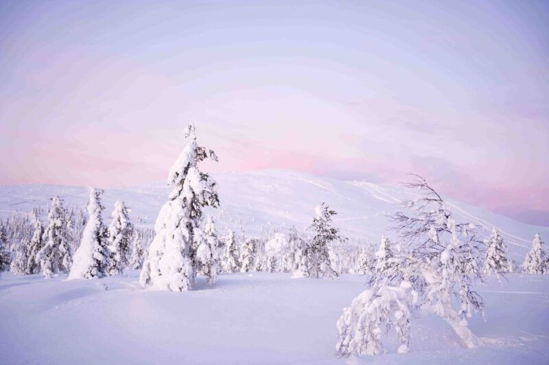 levi-explore-the-wilderness
