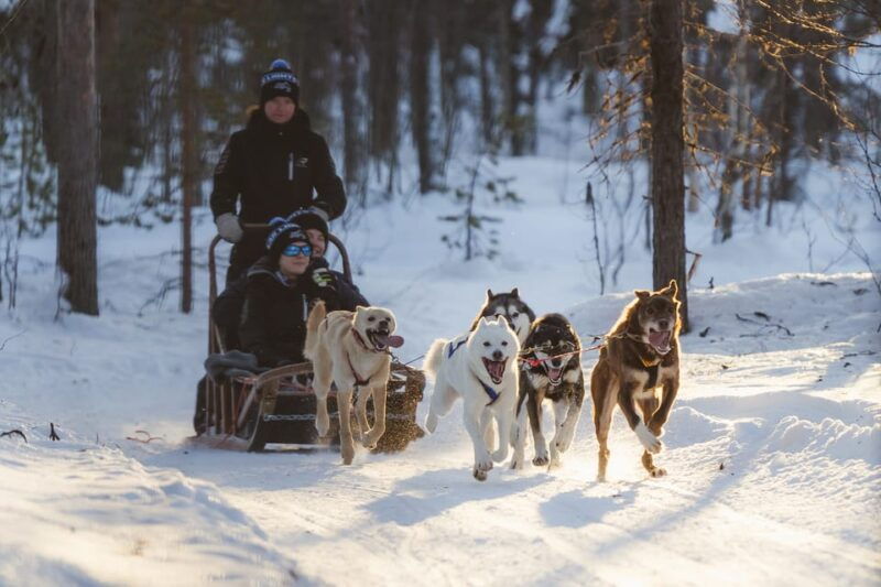 levi-forest-troll-two-day-husky-safari