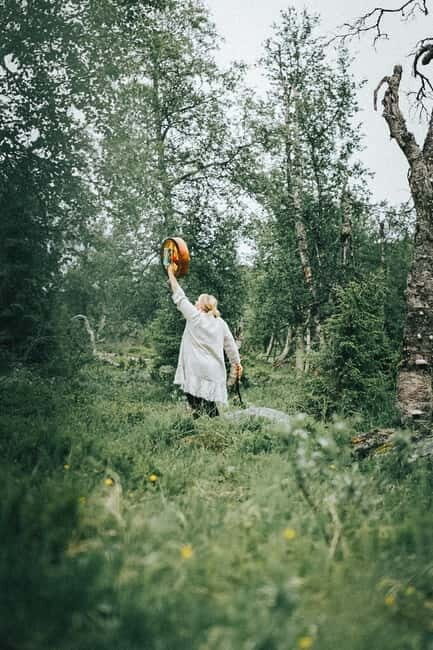 Levi: Guided Hike on the Shaman Päiviö Trail - Who Should Consider This Experience?