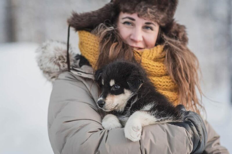 levi-horse-and-husky-farm-visit-with-juice-and-cookies