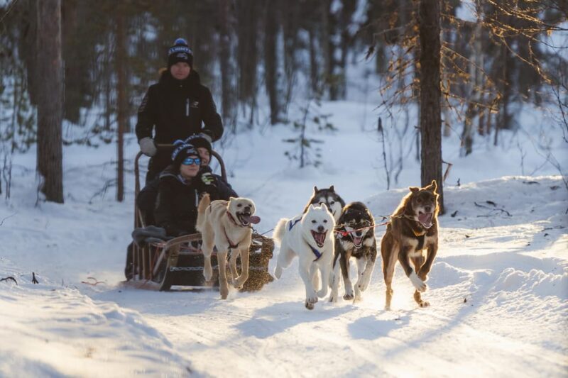 Levi: Husky Adventure Self-Drive Safari 15km - Key Points
