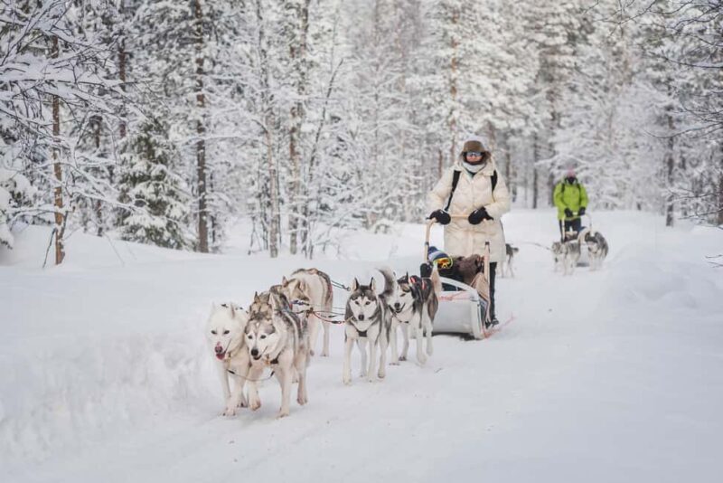 Levi: Husky Adventure Self-Drive Safari 15km - Detailed Review of the Levi Husky Self-Drive Safari