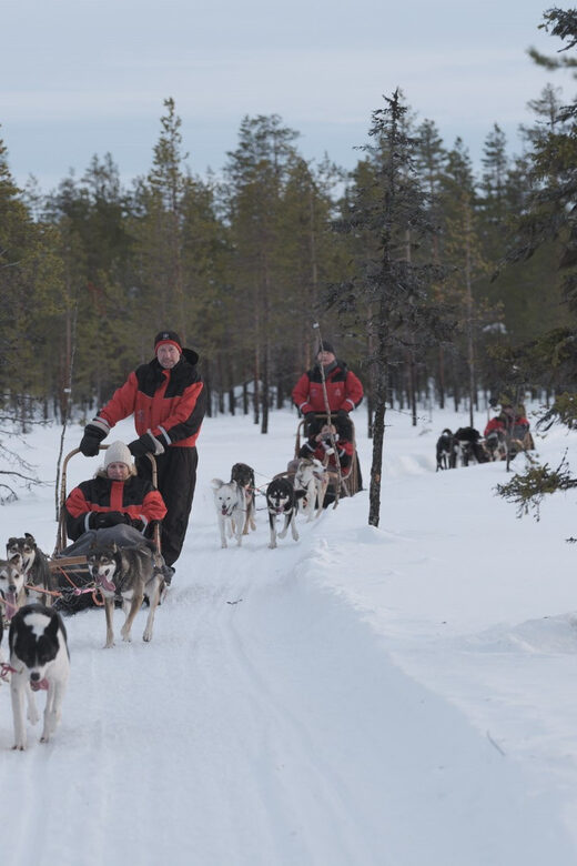Levi: Husky Adventure Self-Drive Safari 15km - Is This Experience Worth It?