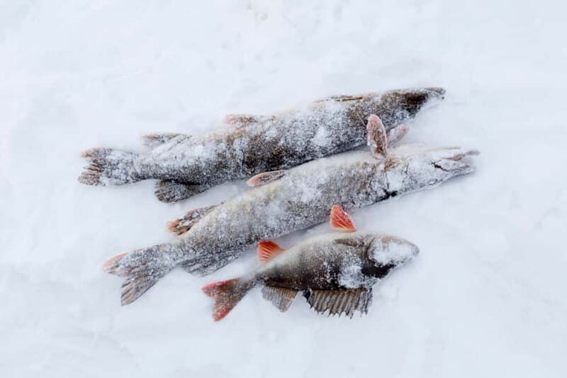 Levi: Ice Fishing by Snowmobile - Levi: Ice Fishing by Snowmobile — A Chilly Adventure with Warm Moments