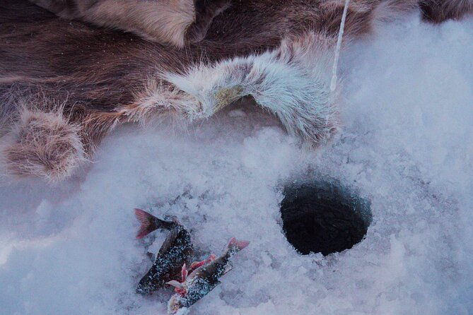 levi-ice-fishing-experience-in-the-wild-with-campfire-treats