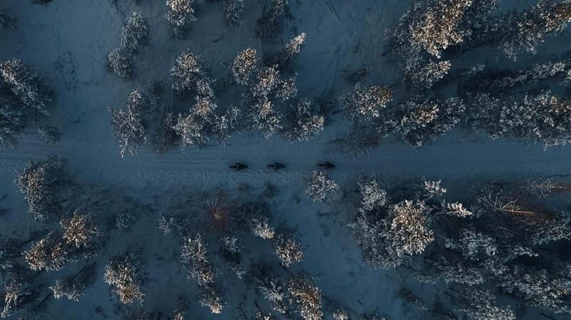 Levi, Lapland: E-Fatbike trip to white nature - The Sum Up