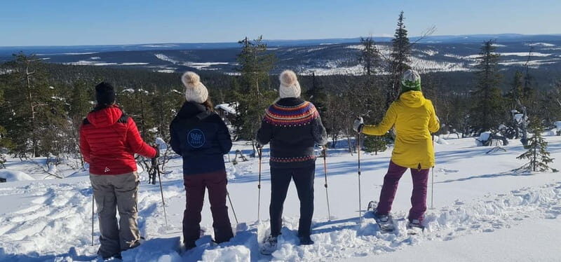 Levi Lapland: Northern Lights Snowshoeing - An In-Depth Look at Levi’s Northern Lights Snowshoeing Tour