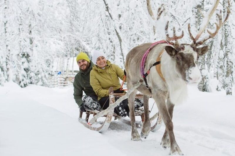 levi-lapland-reindeer-and-husky-safari