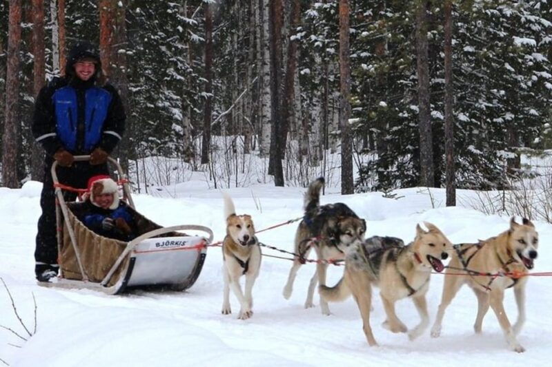 levi-lapland-reindeer-and-husky-safari