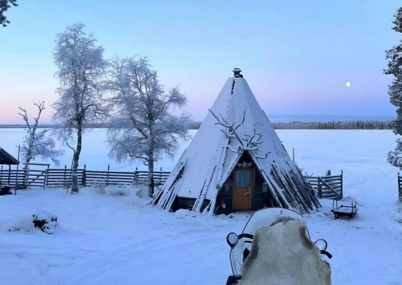 levi-lapland-reindeer-safari