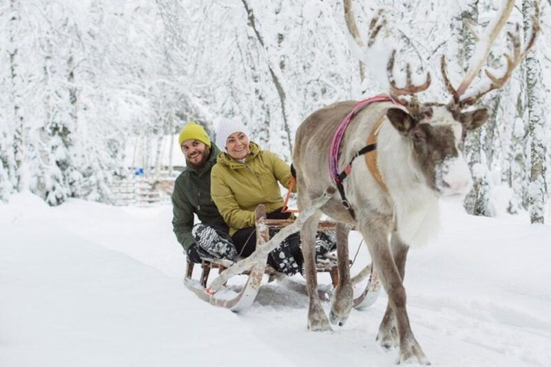 levi-lapland-reindeer-safari