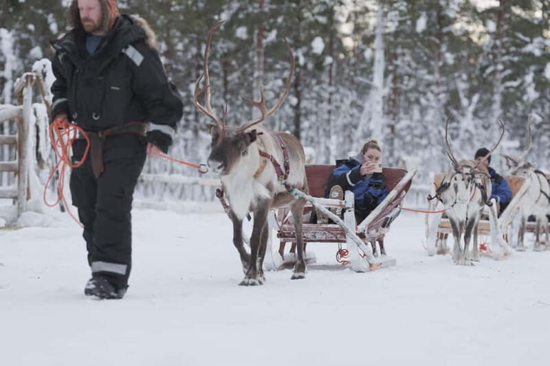Levi: Lappish Reindeer Sled Ride 3 km - Starting with Convenience and Comfort
