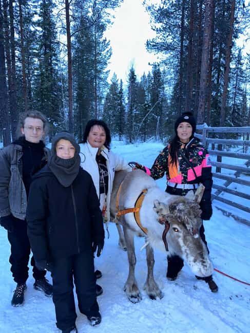 Levi: Meet Reindeer and Visit Husky Kennel - How Does It Value Against the Price?